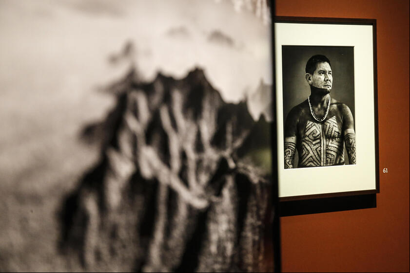 Sebastião Salgado morreu aos 81 anos